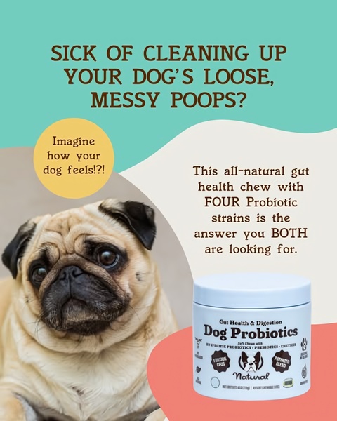 This ad features a direct, question-based hook aimed at pet owners struggling with common digestive issues in their dogs, paired with a clear, benefit-driven product solution.
